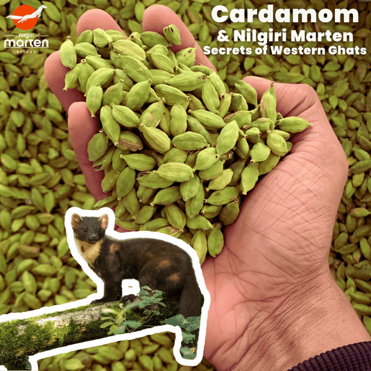 Discover the Essence of GI - Tagged Idukki Green Cardamom