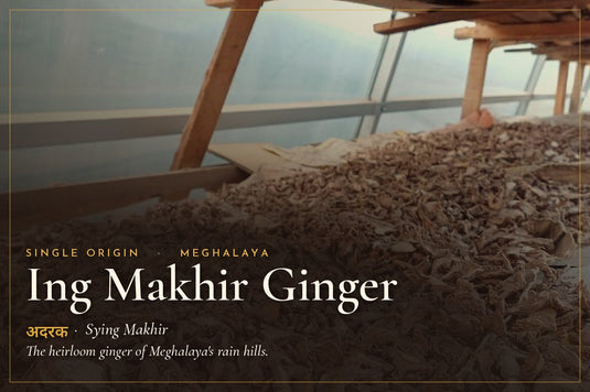 Ing Makhir ginger slices drying under shade on a forest-edge farm in the Jaintia Hills, Meghalaya