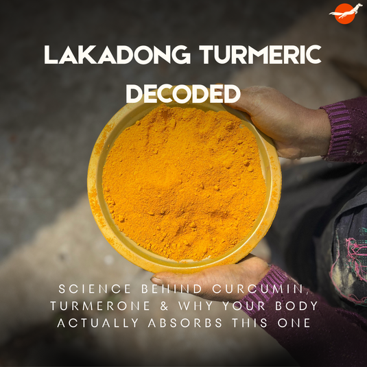 Lakadong Turmeric : The Science Behind Curcumin, Turmerone & Why Your Body Actually Absorbs This One
