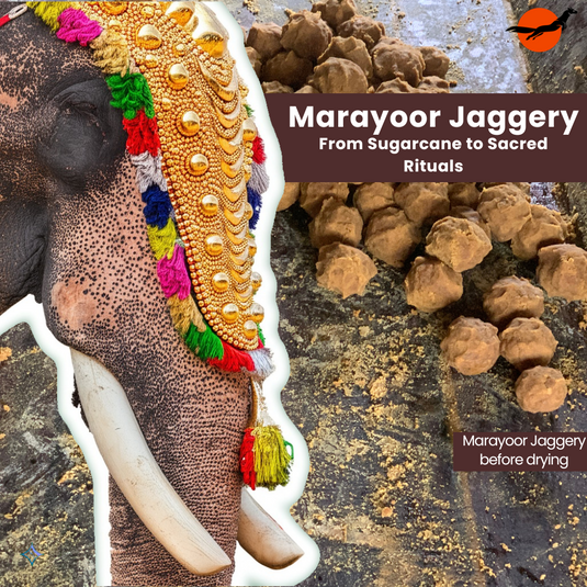 From Sugarcane to Sacred Rituals: Marayoor Jaggery