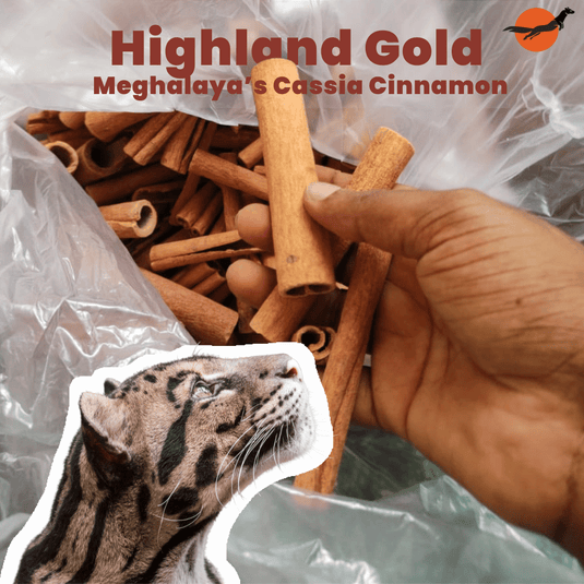 Cassia Cinnamon: Meghalaya's Treasured Spice