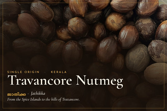Whole single origin Travancore nutmegs, the dried seed of Myristica fragrans, grown in the hills of Kerala