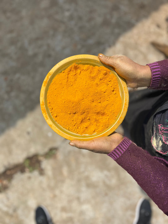 Single-origin Lakadong turmeric powder from Meghalaya, fresh harvest in traditional bowl, Nilgiri Marten Northeast India spice collection