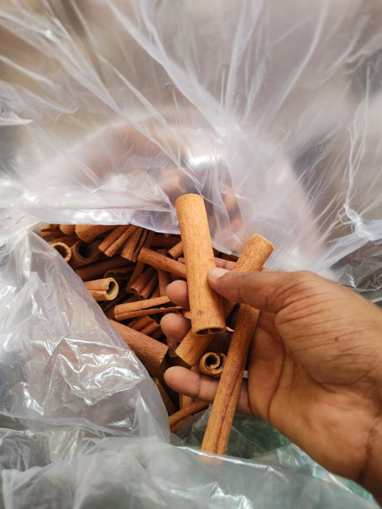 Wild Meghalaya cassia cinnamon sticks, hand-harvested from Jaintia Hills forests, Nilgiri Marten single-origin spices