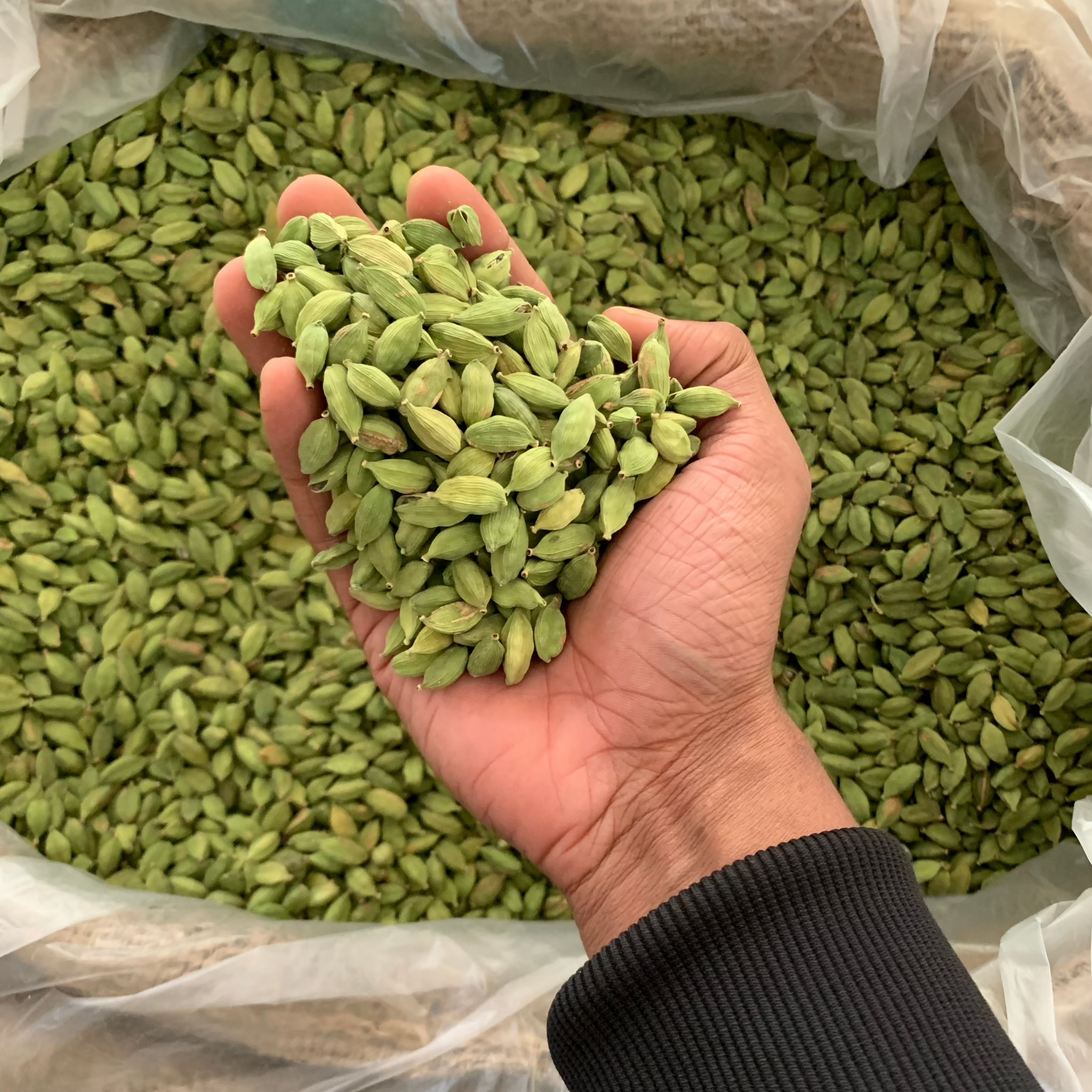 Spice Symphony South Collection