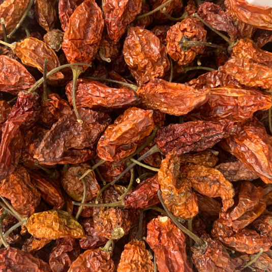 Naga Raja Mircha / Ghost Pepper (GI Tagged)