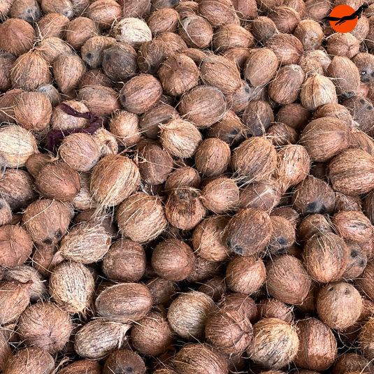 Sun dried copra used to press Kuttiyadi coconut oil, dried coconuts from Kerala
