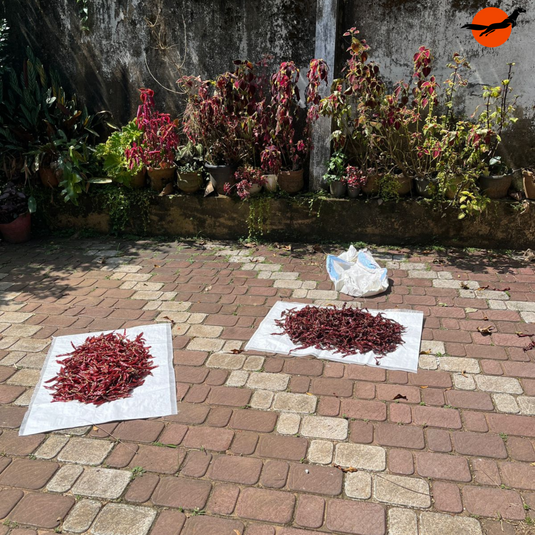 Sirarakhong Chilli / Hathei Chilli Dried (GI-Tagged)