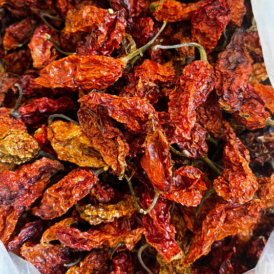 Naga Raja Mircha / Ghost Pepper (GI Tagged)