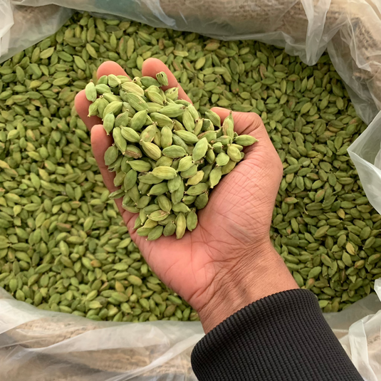 Hand holding fresh Idukki green cardamom pods showing the 8mm+ bold grade size