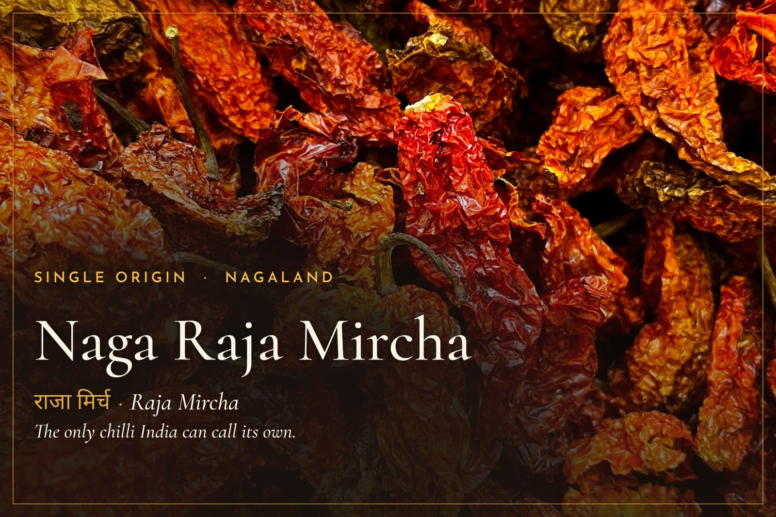Naga Raja Mircha: The Only Chilli that can genuinely claim to be Made