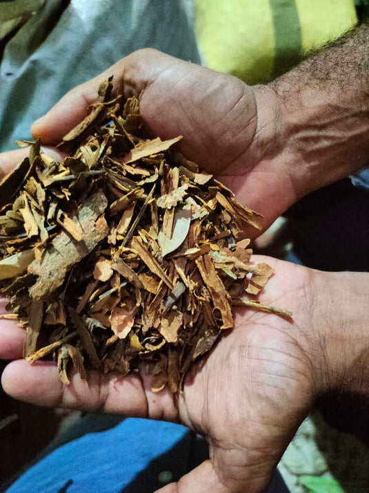 Meghalaya Cinnamon Powder