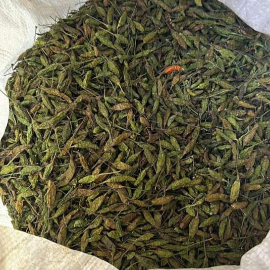 Kanthari Birds Eye Chilli Green Dried