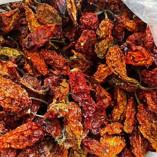 Naga Raja Mircha / Ghost Pepper (GI Tagged)