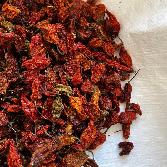 Naga Raja Mircha / Ghost Pepper (GI Tagged)