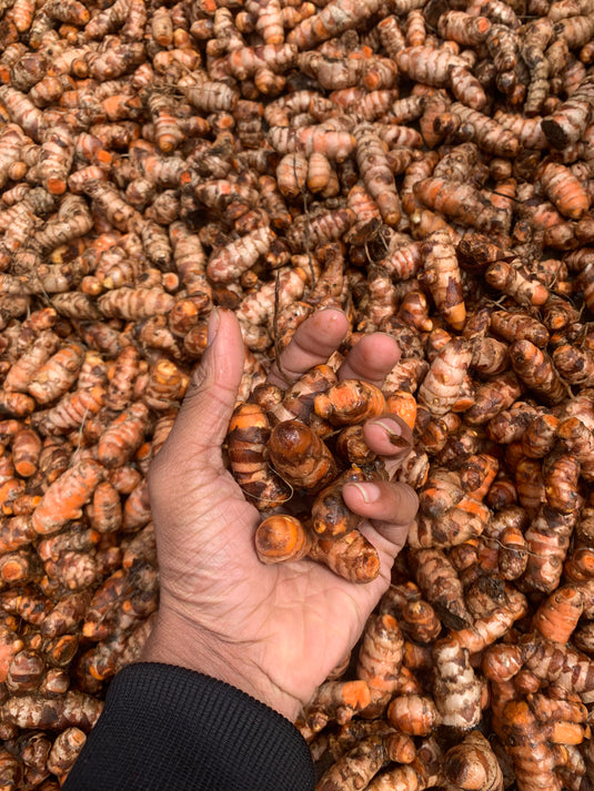 Lakadong Turmeric Powder (GI Tagged)