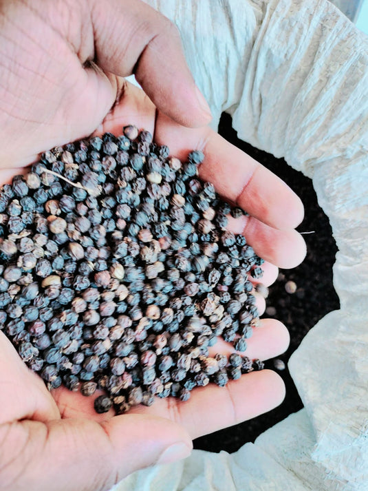 Tellicherry Black Pepper