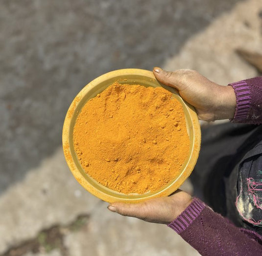Bowl of freshly ground Lakadong turmeric powder showing deep golden-orange color